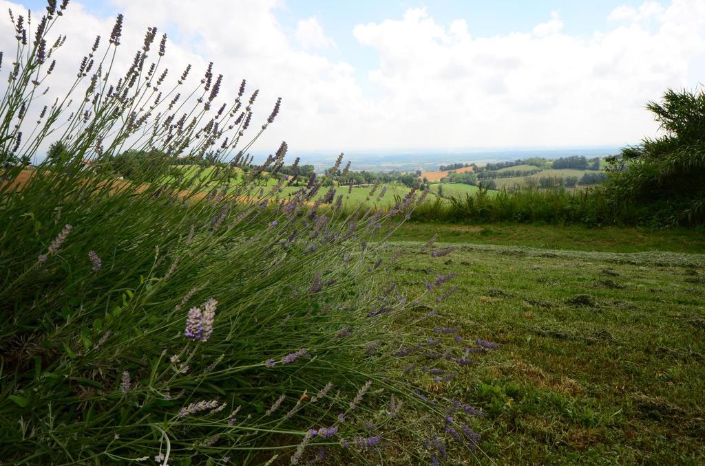 فيلا Agriturismo Agronauta Piozzano المظهر الخارجي الصورة